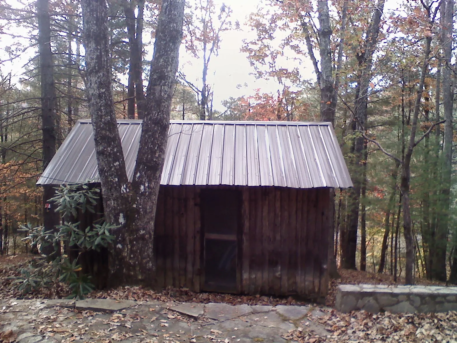 New metal gable roof on a small log shed among the trees in East Calais
