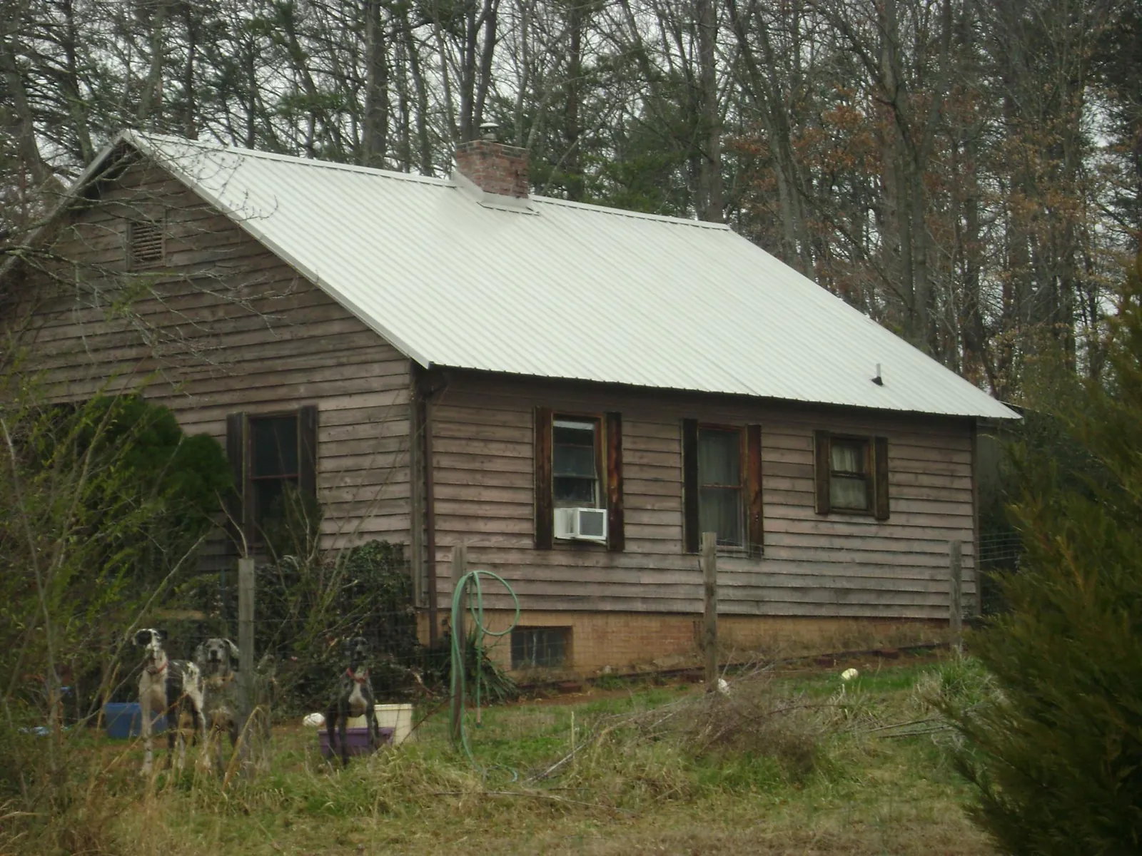 White metal roof on an old wood sided farmhouse, from a Asphalt Shingle Roof Repair job in East Calais